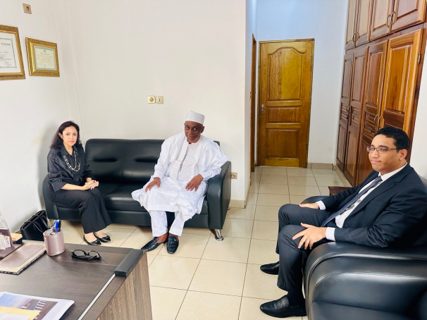 S.E. Mme Marwa Hegazy, Ambassadeur de la République arabe d’Égypte au Cameroun, en visite au siège du CIDIMUC à Yaoundé, le 28 janvier 2026.